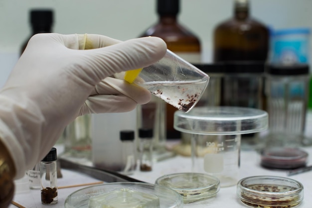 Foto primer plano de la mano examinando los alimentos en laboratorio