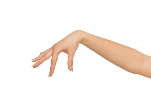 Primer plano de la mano femenina haciendo gestos mientras recoge algunos elementos sobre fondo blanco aislado, recorte, espacio de copia