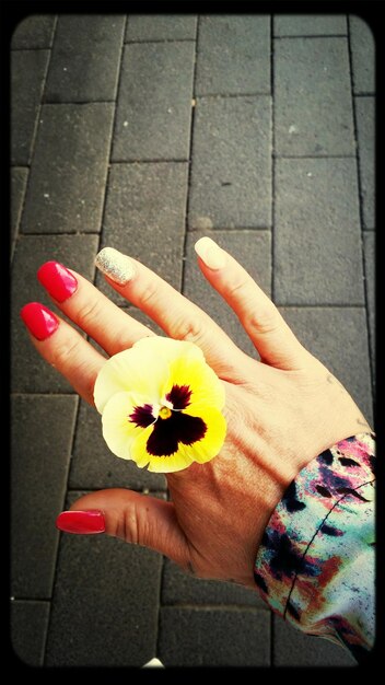 Foto primer plano de una mano con una flor en la acera