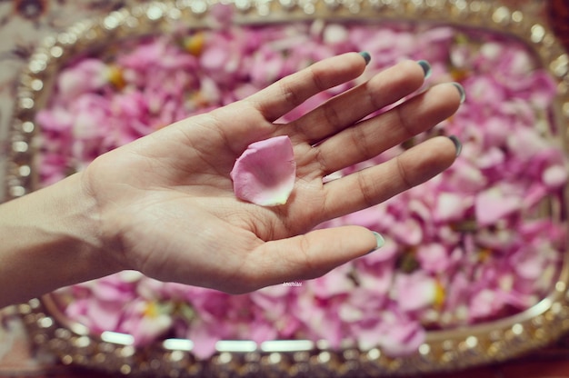 Primer plano de una mano con flores rosas