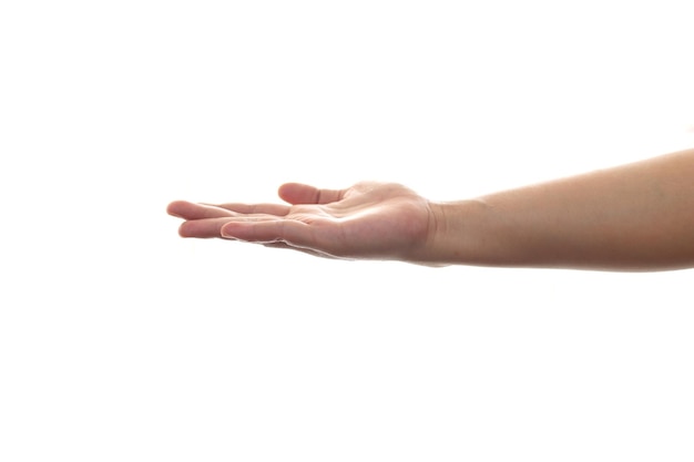 Foto primer plano de la mano de una hermosa mujer sosteniendo algo con espacio de copia palma vacía hacia arriba aislada en blanco