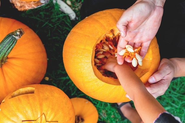 Un primer plano de la mano de la hija y el padre que saca las semillas de una calabaza.