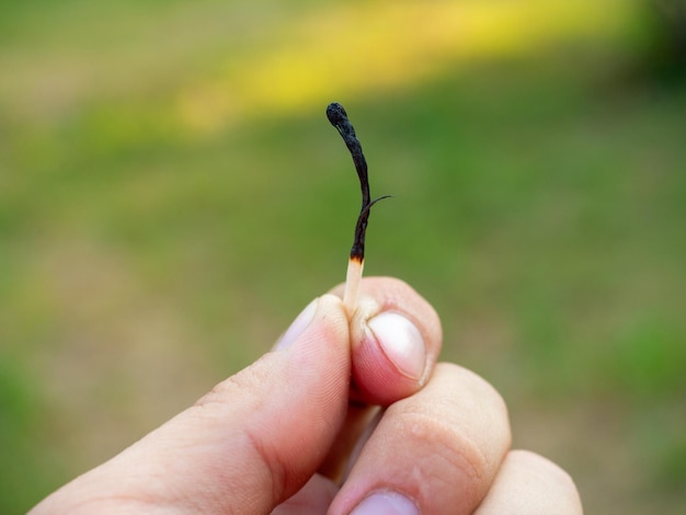 Primer plano de la mano de un hombre sosteniendo un fósforo quemado Fondo verde borroso