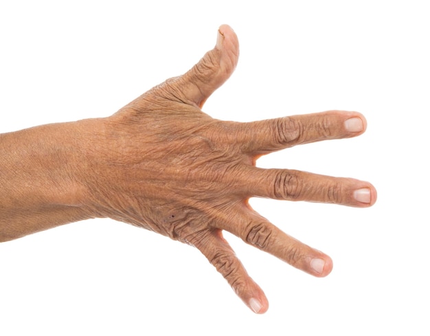 Primer plano de la mano humana contra el fondo blanco.