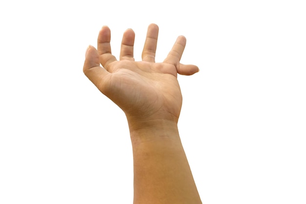 Primer plano de la mano humana contra un fondo blanco