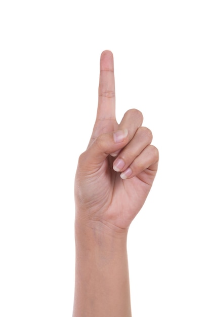 Primer plano de la mano humana contra un fondo blanco