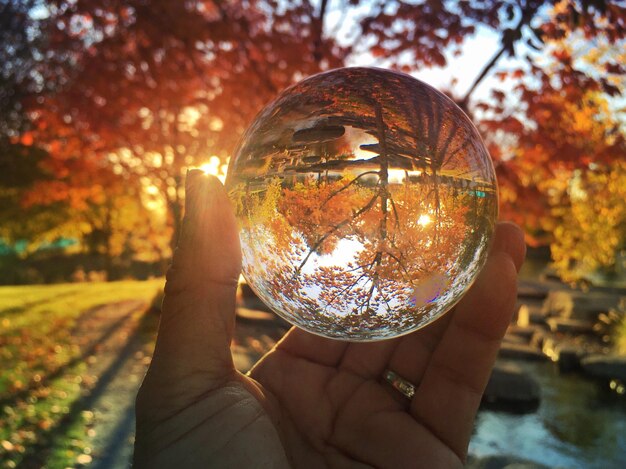 Primer plano de una mano humana sosteniendo una bola de cristal en un parque durante el otoño