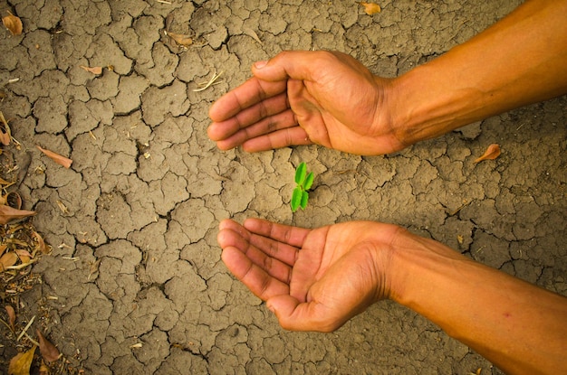 Primer plano de la mano humana