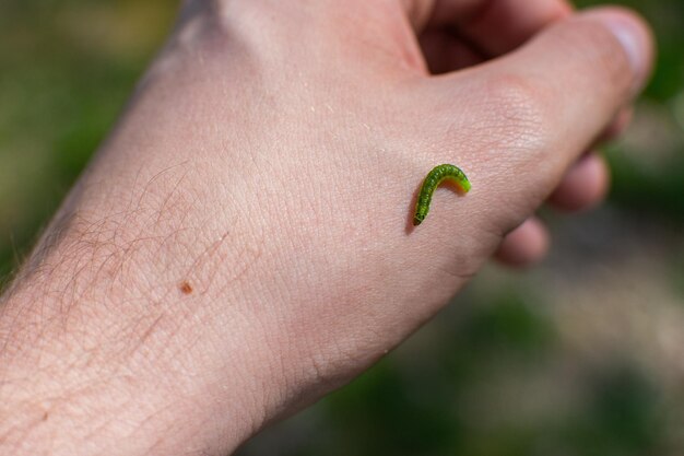 Primer plano de la mano humana