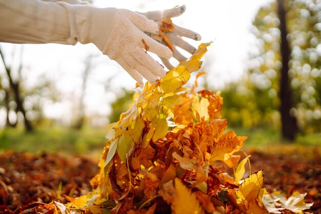 Foto primer plano de una mano masculina rastrillar las hojas de otoño en el jardín obras de jardín de otoño