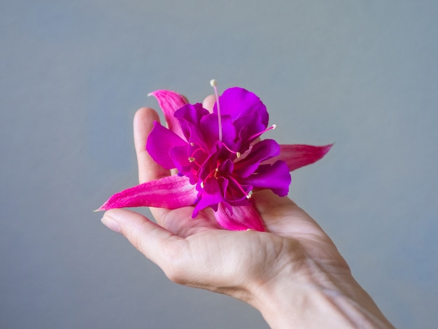 Primer plano de la mano de mujer hermosa con flor morada