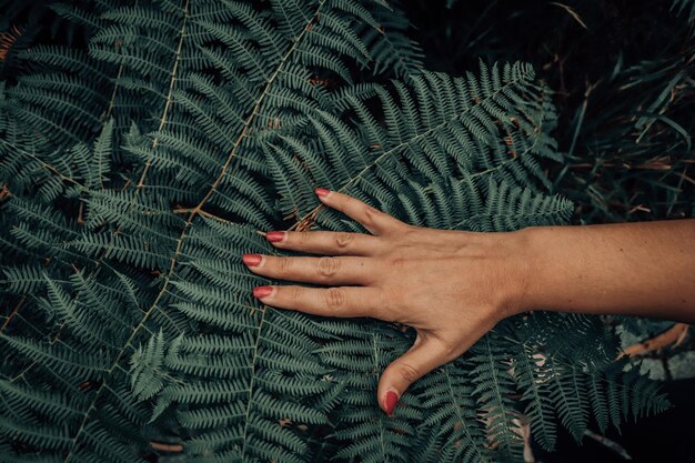 Primer plano de la mano de una mujer tocando una hoja