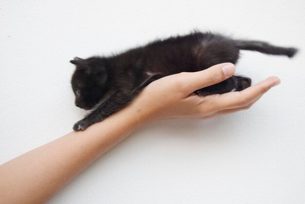 Foto primer plano de la mano de la mujer