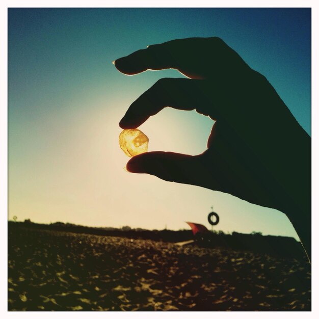 Foto primer plano de la mano de una persona sosteniendo una concha de mar contra el sol