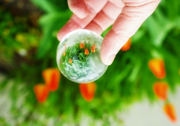 Primer plano de una mano recortada sosteniendo una bola de cristal con el reflejo de flores