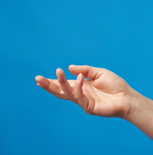 Primer plano de la mano sobre un fondo azul