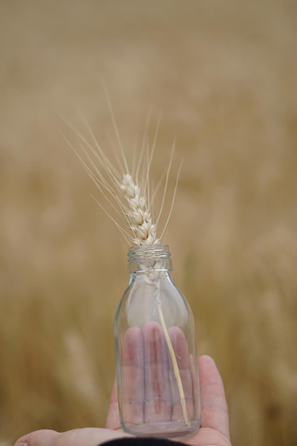 Foto primer plano de la mano sosteniendo una botella de vidrio