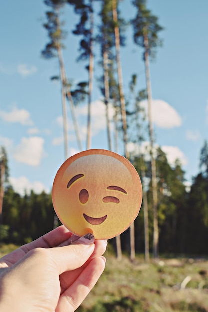 Primer plano de la mano sosteniendo una cara sonriente antropomórfica contra los árboles y el cielo