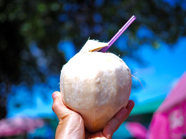 Foto primer plano de la mano sosteniendo el helado