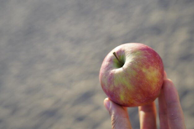 Foto primer plano de la mano sosteniendo una manzana