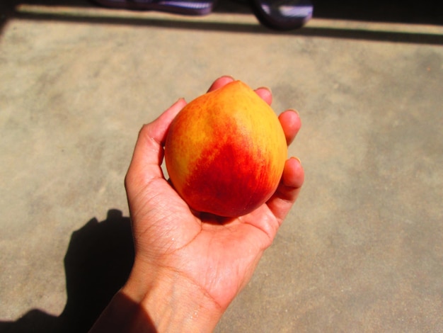 Foto primer plano de una mano sosteniendo un melocotón