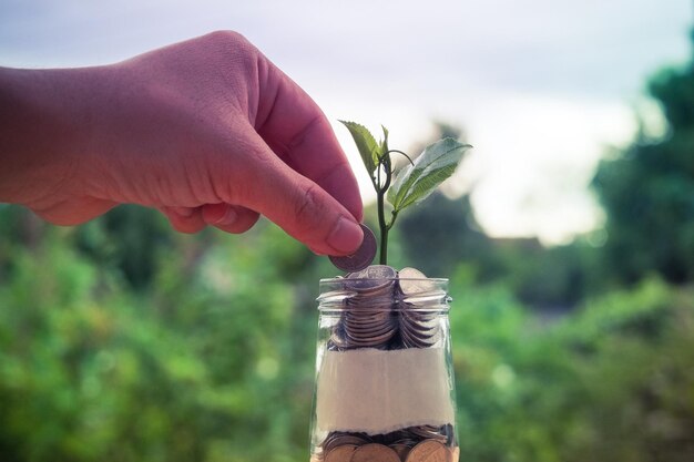 Foto primer plano de la mano sosteniendo una moneda sobre un frasco contra los árboles