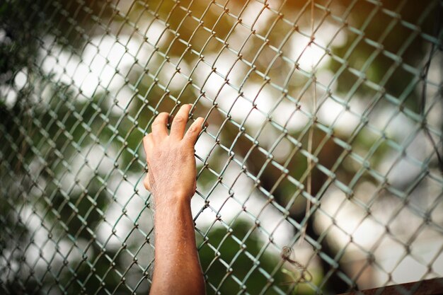 Foto primer plano de la mano en la valla de enchaines