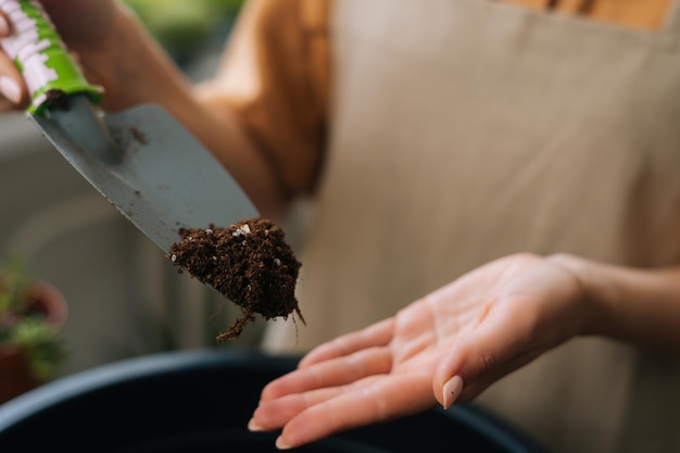 Primer plano de las manos de una joven jardinera irreconocible en delantal trabajando con plantas de maceta plantadas en el suelo en la mesa en casa