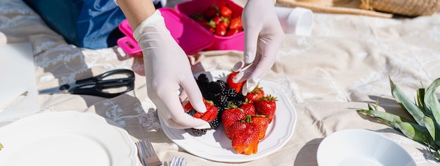 Primer plano de manos de mujer con guantes poniendo frutos rojos en un plato. Preparándose para un picnic al aire libre. Banner o encabezado horizontal.
