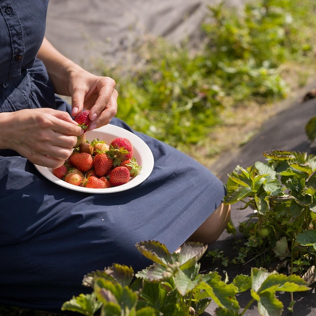 Primer plano de las manos de una mujer joven recogiendo fresas orgánicas en la granja