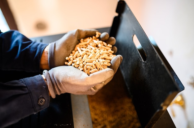 Primer plano de las manos de un técnico sosteniendo pellets