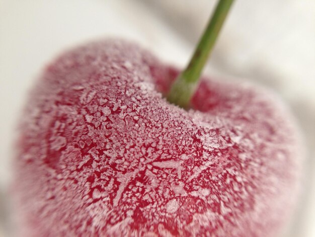 Foto primer plano de una manzana congelada
