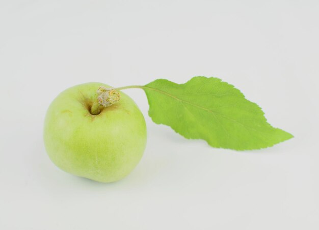 Primer plano de una manzana contra un fondo blanco