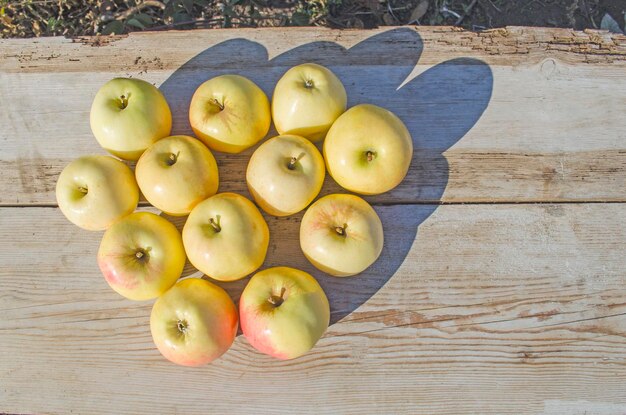 Primer plano de manzanas de granja amarillas frescas