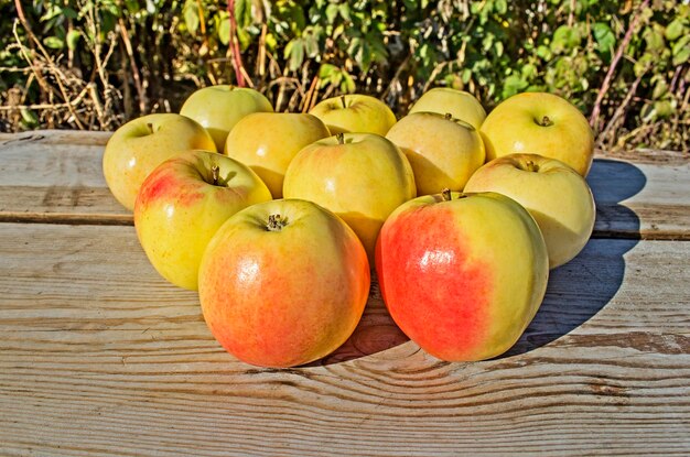 Primer plano de manzanas orgánicas amarillas frescas