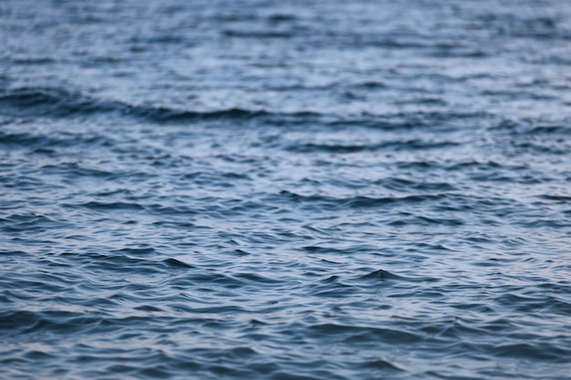 Primer plano del mar. textura de agua. superficie del agua con olas. Foto de alta calidad