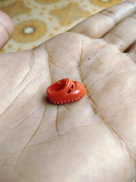 Primer plano de la mariposa en la mano