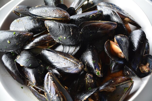 Primer plano de mariscos en el plato