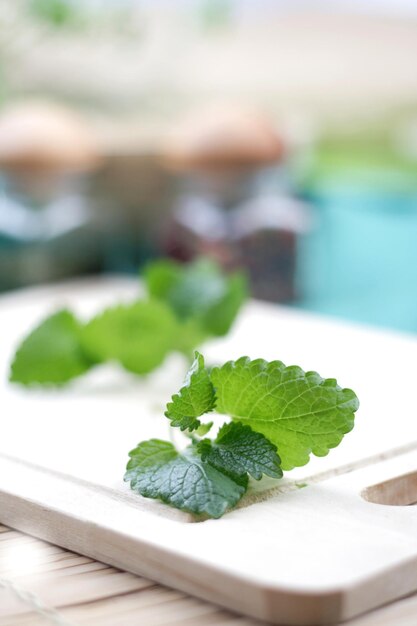 Foto un primer plano de menta fresca