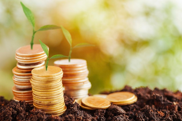Primer plano de monedas apiladas con plántulas en el campo