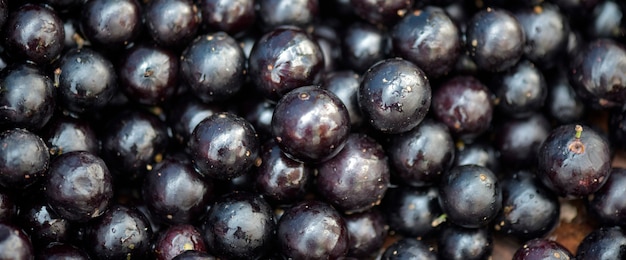 Primer plano del montón de jabuticaba