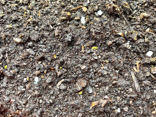 Un primer plano de un montón de tierra con algunas rocas pequeñas y algunas rocas pequeñas.