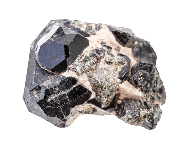Primer plano de una muestra de mineral natural de una colección geológica de cristales de Spinel negros en una matriz de diopsido aislados sobre un fondo blanco