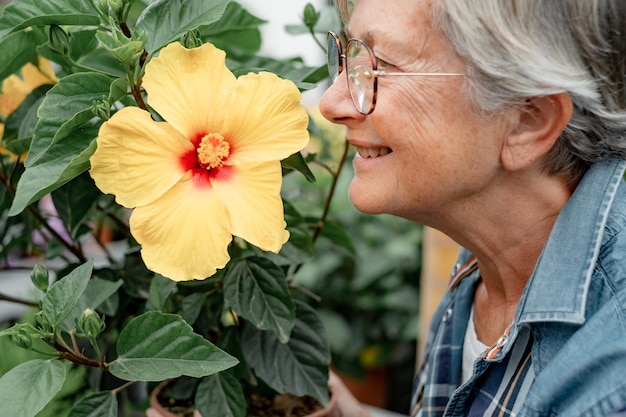 Primer plano de una mujer caucásica senior que huele una flor de hibisco amarillo anciana amante de la naturaleza