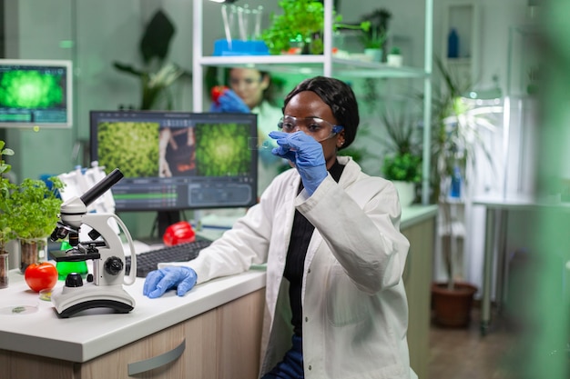 Primer plano de una mujer científica africana mirando una muestra de prueba de hoja analizando un experimento biológico con plantas orgánicas. Biólogo especialista que descubre plantas transgénicas orgánicas mientras trabaja en microbio