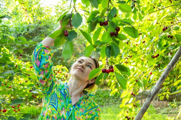 Foto primer plano de una mujer cosechando cerezas maduras