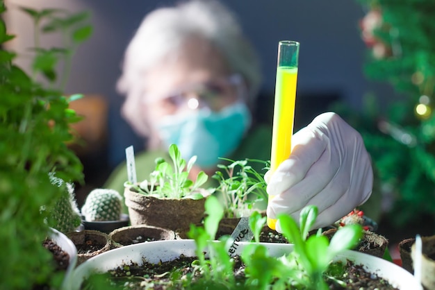 Foto primer plano de una mujer examinando plantas en un invernadero