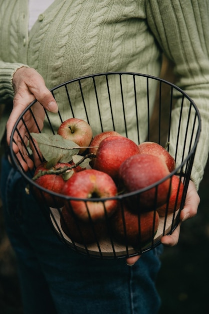 Foto un primer plano de una mujer sosteniendo una canasta llena de manzanas orgánicas recién recogidas