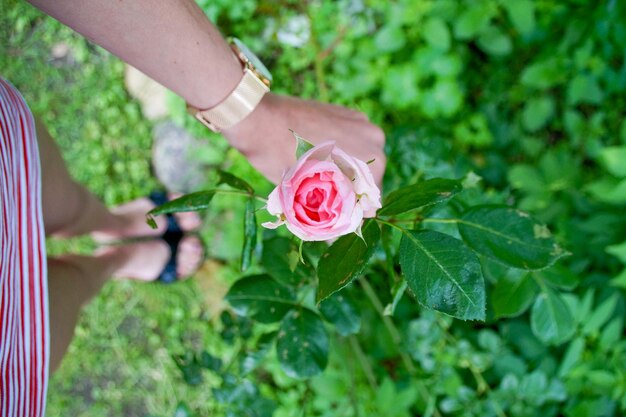 Foto primer plano de una mujer sosteniendo una flor rosa