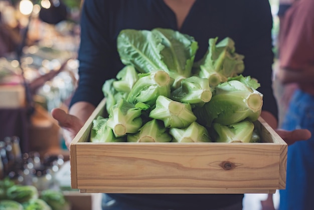 Primer plano de una mujer sosteniendo verduras